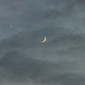 Meet your Posher, Mareshah